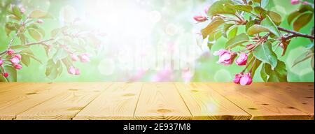Frühling und Sommer Hintergrund - blühende Apfelbäume, Rahmen in den Strahlen des Sonnenlichts, mit einem Holztisch. Abstrakte natürliche Hintergründe zu präsentieren und Stockfoto