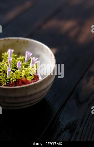 Rote Fleischtartare dekoriert und mit Blumen und Garten überzogen Grün Stockfoto