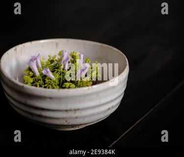 Rote Fleischtartare dekoriert und mit Blumen und Garten überzogen Grün Stockfoto