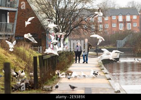 Walsall, West Midlands, Großbritannien. Februar 2021. Die Einheimischen im Stadtzentrum von Walsall - Postleitzahl WS2 - haben die südafrikanische Variante von Covid 19 täglich zu ihrem Geschäft gebracht. Vor-Ort-Tests und mobile Testeinheiten werden in diesem Bereich eingesetzt. Kredit: Peter Lopeman/Alamy Live Nachrichten Stockfoto