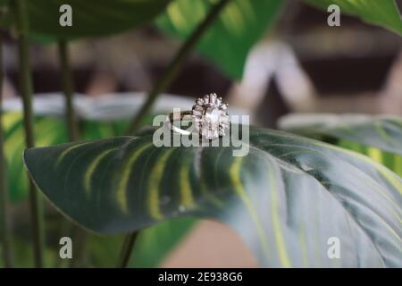 Rawalpindi, Pakistan-02 Feb 2021;Silver Diamond Ring Fokus horizontal auf einem großen grünen Urlaub mit gelben Streifen für Überraschung. Stockfoto