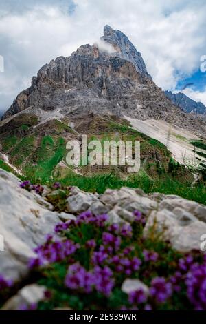 Passo Rolle. Pala Gruppe Pale di San Martino in den dolomiten des Trentino, Italien. Pala ist Teil des UNESCO-Weltkulturerbes. Italienische Dolomiten Stockfoto