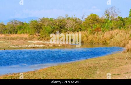 Flusswald und Fluss, Feuchtgebiete, Royal Bardia National Park, Bardiya National Park, Nepal, Asien Stockfoto