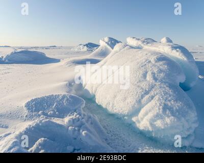 Frozen Melville Bay, Teil der Baffin Bay, nahe Kullorsuaq im hohen Norden von Westgrönland. Stockfoto