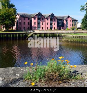 Riverside Apartments am Fluss Dart in Totnes, Devon, gegenüber der Insel Vire. Stockfoto