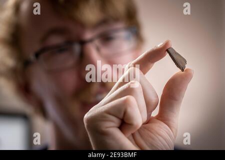 Doktorand Roy Smith 26, in seinem Haus in Portsmouth mit einem winzigen Fragment versteinerten Knochen, von dem er glaubt, dass er eine neue Art von Dinosaurier ist, der zahnlose Stockfoto