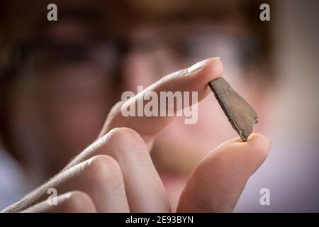 Doktorand Roy Smith 26, in seinem Haus in Portsmouth mit einem winzigen Fragment versteinerten Knochen, von dem er glaubt, dass er eine neue Art von Dinosaurier ist, der zahnlose Stockfoto