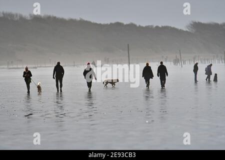 Weston Super Mare, Großbritannien. Februar 2021. Wetter in Großbritannien. Während der National Lockdown werden Wanderer mit ihren Hunden am Strand von Weston Super Mare an einem feuchten und nassen Strand trainiert, wenn die Flut ausgeht. Bild: Robert Timoney/Alamy Live News Stockfoto