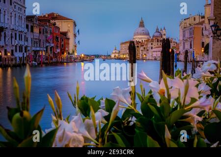 Kanäle von Venedig Italien im Sommer in Europa,Architektur und Wahrzeichen von Venedig. Italien Europa. Grand Canal und Basilica Santa Maria della Salute, Venedig, Italien Stockfoto