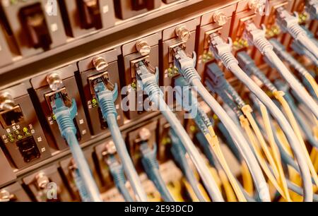 Server Rack mit blauen und roten internet Patchkabel Kabel schwarz Patchpanel in Daten verbundenen Server Zimmer Stockfoto