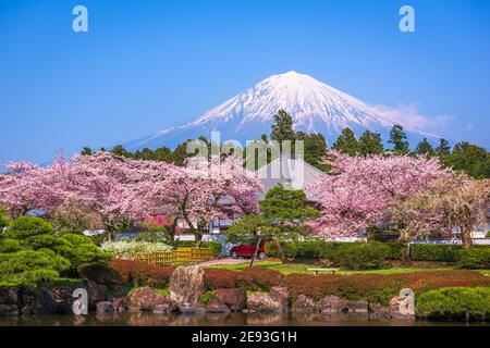 Fujinomiya, Shizuoka, Japan mit Mt. Fuji im Frühjahr. Stockfoto