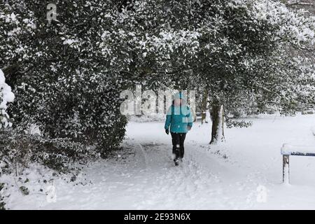 Barnard Castle, Teesdale, County Durham, Großbritannien. Februar 2021. Wetter in Großbritannien. Mit einer gelben Wetterwarnung für Met Office in Kraft für einige Gebiete des Vereinigten Königreichs, ist schwerer Schnee auf die Marktstadt Barnard Castle. Kredit: David Forster/Alamy Live Nachrichten Stockfoto