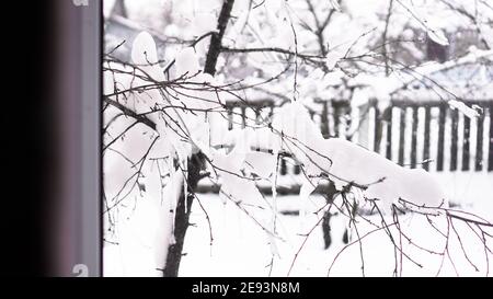 Winterlandschaft durch das Fenster gesehen. Äste Baum unter Schnee in frostigen Morgen, Zaun im Hintergrund Stockfoto