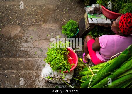 Ein afro-kolumbianischer Verkäufer verkauft Heilkräuter auf einem Straßenmarkt am Fluss Atrato in Quibdó, Chocó, der pazifischen Region Kolumbiens. Stockfoto