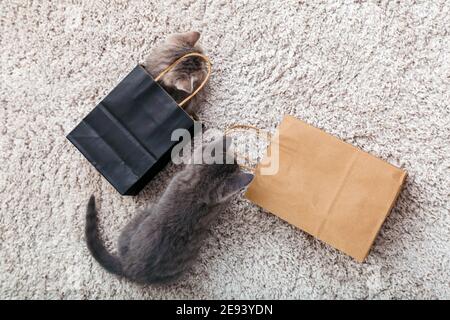 Liebenswert kleine tabby Kätzchen verstecken sich in Papier Einkaufstaschen zu Hause auf Teppich. Katze sieht aus dem Papiersack. Geschenk am valentinstag Kätzchen im Paket Stockfoto