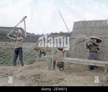 Foto aus dem späten 19. Jahrhundert - Bauern, landwirtschaftliche Arbeiten Dreschen Getreide, Japan Stockfoto