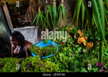 Ein afro-kolumbianischer Verkäufer verkauft Heilkräuter und Aloe Vera Pflanzen auf einem Straßenmarkt entlang des Flusses Atrato in Quibdó, Chocó, Kolumbien. Stockfoto