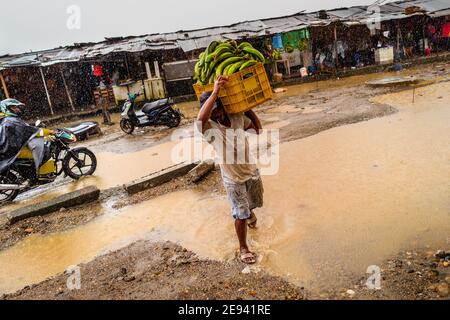 Ein afro-kolumbianischer Junge trägt einen Haufen Bananen auf einem Straßenmarkt entlang des Flusses Atrato in Quibdó, Chocó der pazifischen Region Kolumbiens. Stockfoto