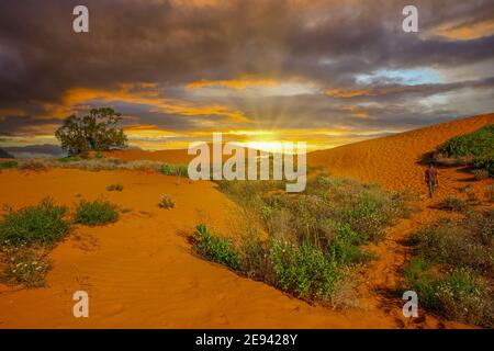 Letzte Sonnenstrahlen über dem Horizont bei Sonnenuntergang in den Perry Sandhills an der alten Renmark Road in der Nähe der australischen Stadt Wentworth, New South Wales Stockfoto