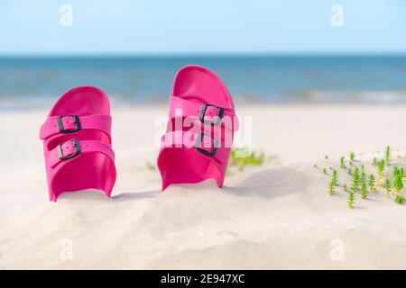 Rosa Sandalen am Strand an einem schönen sonnigen Tag. Pantoffeln im Sand am Meer. Flip Flops am Ufer am Meer. Stockfoto