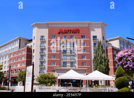Derzeit die größte Hotelkette der Welt. Bellevue. Marriott Hotel, Staat Washington. USA August 2019. Stockfoto