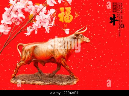 Tradition Chinesisch 2021 ist Jahr des Ochsen, chinesische Zeichen auf Rechtstext und Siegel bedeuten: Chinesischer Kalender für das Jahr Der OX.Leftside trans Stockfoto