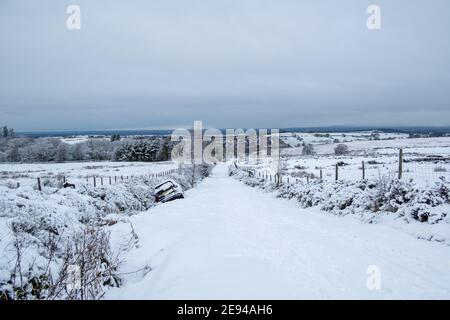 Auto im Winter in einem Graben stecken Stockfoto