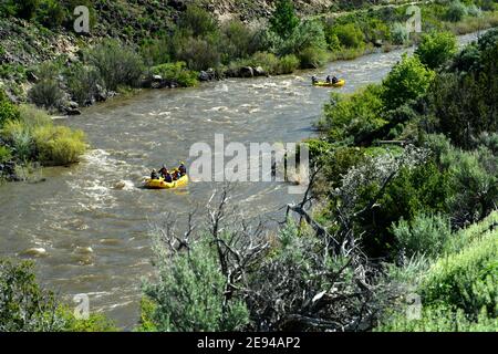 Touristen genießen eine Fluss-Rafting-Ausflüge entlang des Rio Grande in der Nähe von Taos, New Mexico. Stockfoto