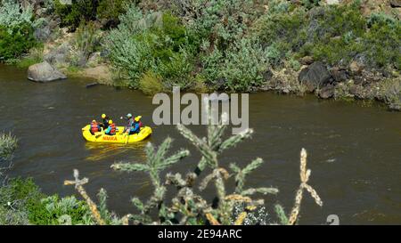 Touristen genießen eine Fluss-Rafting-Ausflüge entlang des Rio Grande in der Nähe von Taos, New Mexico. Stockfoto