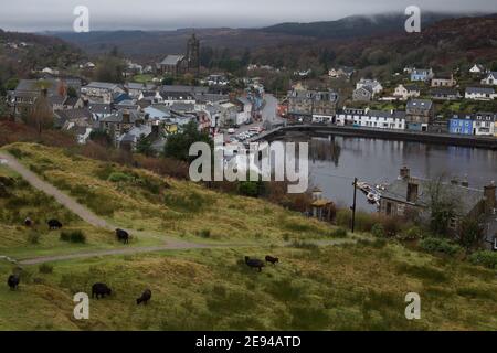 Blick von Tarbert Castle, mit Blick auf die Stadt, Heimat vieler kleiner, selbstklaurischer Exportgeschäfte, in Argyllshire, Schottland, Großbritannien, 11. Dezember 2020. Stockfoto