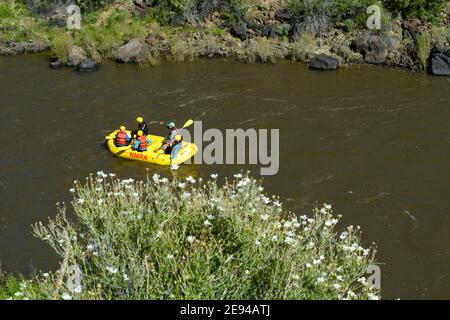 Touristen genießen eine Fluss-Rafting-Ausflüge entlang des Rio Grande in der Nähe von Taos, New Mexico. Stockfoto