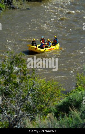 Touristen genießen eine Fluss-Rafting-Ausflüge entlang des Rio Grande in der Nähe von Taos, New Mexico. Stockfoto