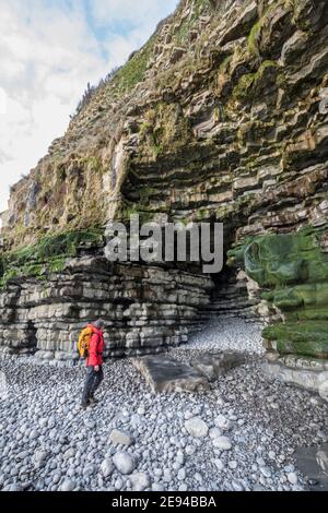 Font-y-Gary Cave, eine Küstenhöhle in den Klippen bei Fontygary in Aberthaw, Wales, Großbritannien Stockfoto