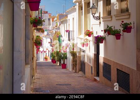 Blick auf eine der typischen engen Gassen des historischen Zentrums von Estepona mit den Häusern encaldas und geschmückt mit Töpfen voller bunten Blumen. Stockfoto