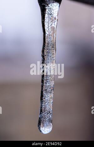 Einzelicicicle Nahaufnahme Stockfoto