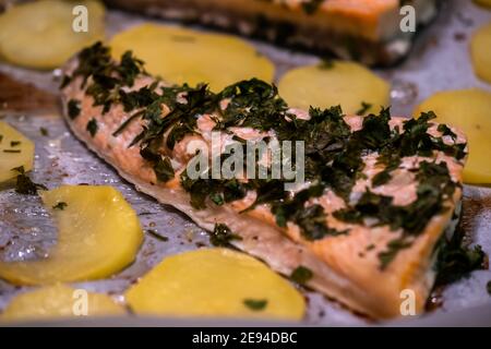Gebackener Lachs im Ofen mit Kartoffeln und Petersilie Stockfoto