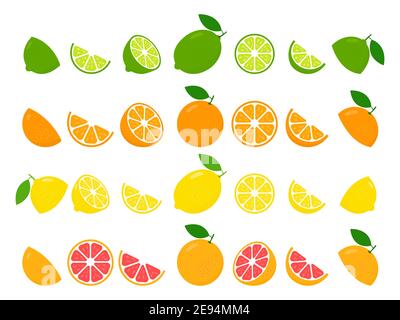 Frische Zitrusfrüchte ganz und Hälften von Limette, Zitrone, Grapefruit und Orange Set. Große Obst Sammlung Vektor-Illustration isoliert auf weiß Stock Vektor