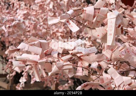 KYOTO, JAPAN - 19. APRIL 2012: Omikuji-Papiergeschwippe an einen Baum im Heian Jingu-Schrein in Kyoto, Japan gebunden. Wie in Japan Tradition, schlechte Vermögen ar Stockfoto