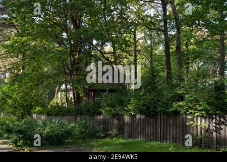 Ein Holzhaus ist in den Bäumen versteckt, Svetlogorsk, Kaliningrad Region, Russland Stockfoto