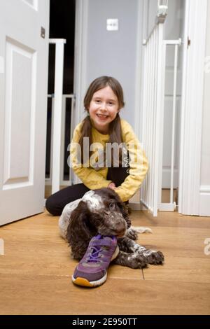 Junges Mädchen mit Cocker Spaniel Welpe Stockfoto