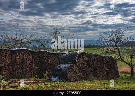 Überdachter Haufen Brennholz auf einer Wiese Stockfoto