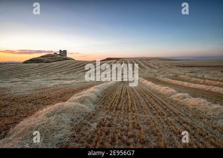 Frisch geerntete Weizenfelder bei Sonnenuntergang, mit Strohhaufen noch auf dem Boden, mit einer Burgruine im Hintergrund, Atanzon, Guadalajara, Spa Stockfoto