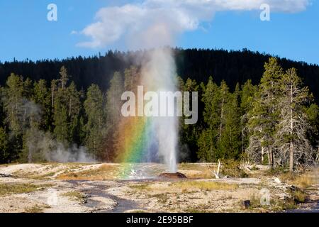 Rosa Kegel Geysir im Yellowstone-Nationalpark Stockfoto