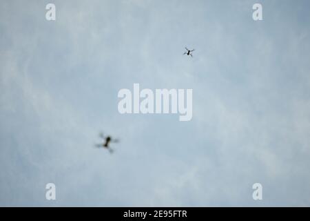 Chatelherault Country Park, Hamilton, Schottland, Großbritannien. 2019. Im Bild: Professionelle Drohnenpiloten fliegen Drohnen im Chatelherault Country Park. Quelle: Colin Fisher/Alamy Live News. Stockfoto
