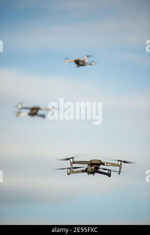 Chatelherault Country Park, Hamilton, Schottland, Großbritannien. 2019. Im Bild: Professionelle Drohnenpiloten fliegen Drohnen im Chatelherault Country Park. Quelle: Colin Fisher/Alamy Live News. Stockfoto