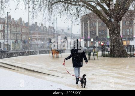 Eine Person, die bei starkem Schnee mit ihrem Hund unterwegs ist, Windrush Square, Brixton, London, 24. Januar 2021 Stockfoto