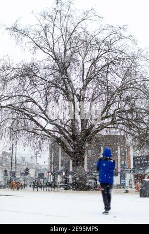 Eine Person geht auf dem Windrush Square bei starkem Schnee auf den Baum zu, Brixton, London, 24. Januar 2021 Stockfoto