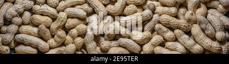 Erdnuss Panorama Hintergrund. Erdnuss in einer Schale Textur. Food Hintergrund von Bio leckere Erdnüsse. Stockfoto