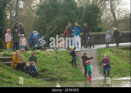 Cookham, Berkshire, Großbritannien. Februar 2021. Familien kommen, um sich die Überschwemmungen in Cookham anzusehen. In Cookham gibt es einen Hochwasser-Alarm, da die Themse an ihren Ufern platzt. Die B4447 Straße über Cookham Moor wurde wegen Überflutung gesperrt. Die Umweltagentur war heute dabei, die Abflüsse auszupumpen. Quelle: Maureen McLean/Alamy Live News Stockfoto