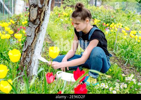 Mädchen Landwirt weiß einen Baum. Frühling landwirtschaftliche Arbeit. Gärtner im Garten. Obstbaumpflege. Kirschen und Apfelbäume im Frühling. Gartenarbeit und Stockfoto